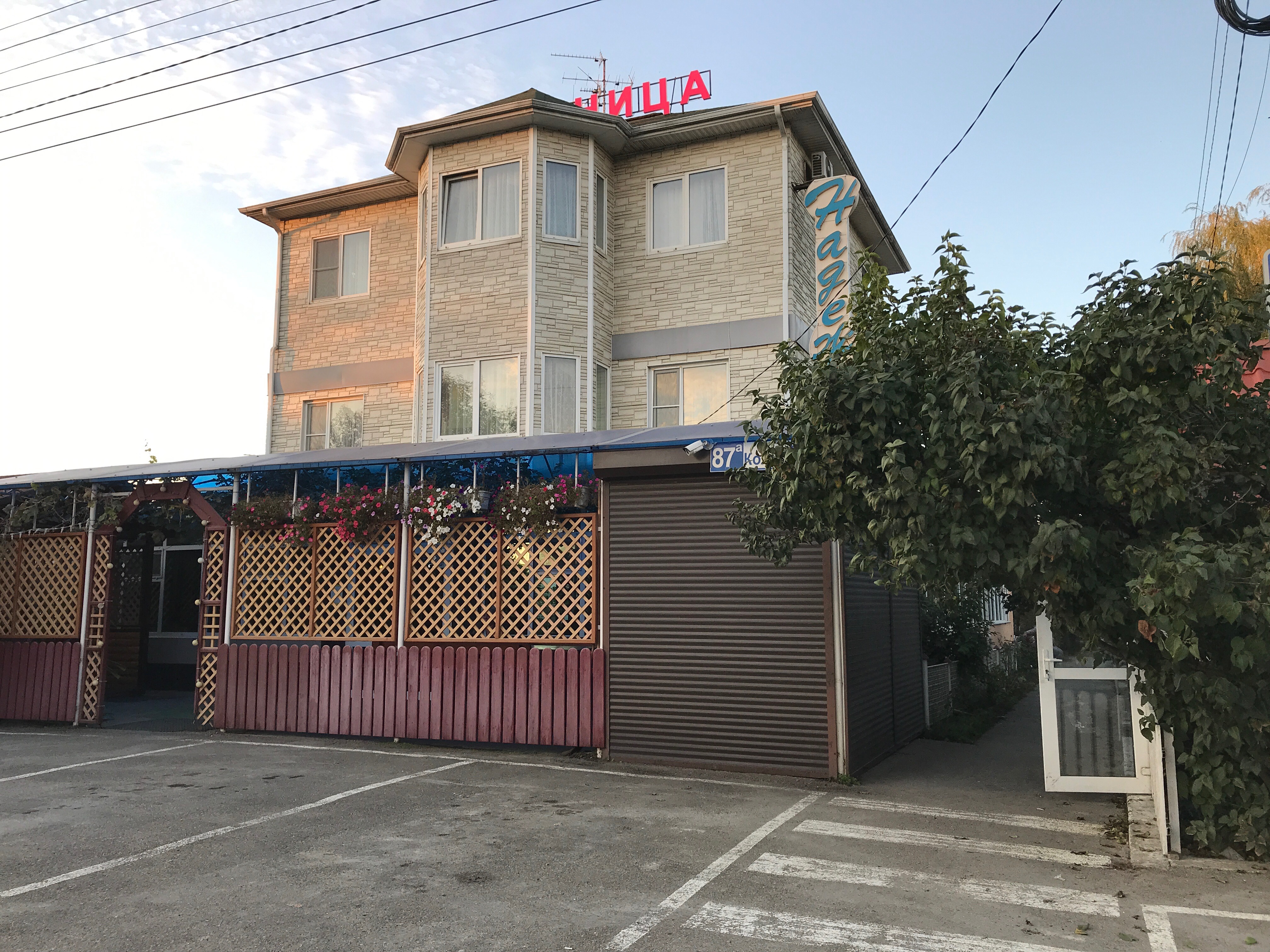 Фото Надежда