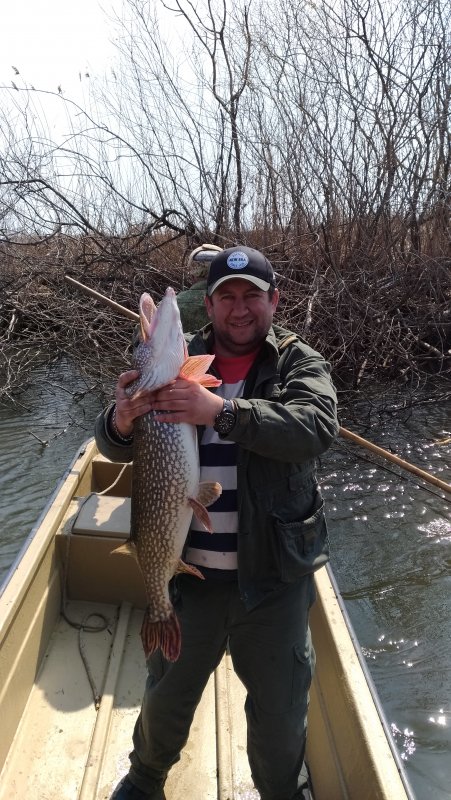 Фото Пиранья Дельта