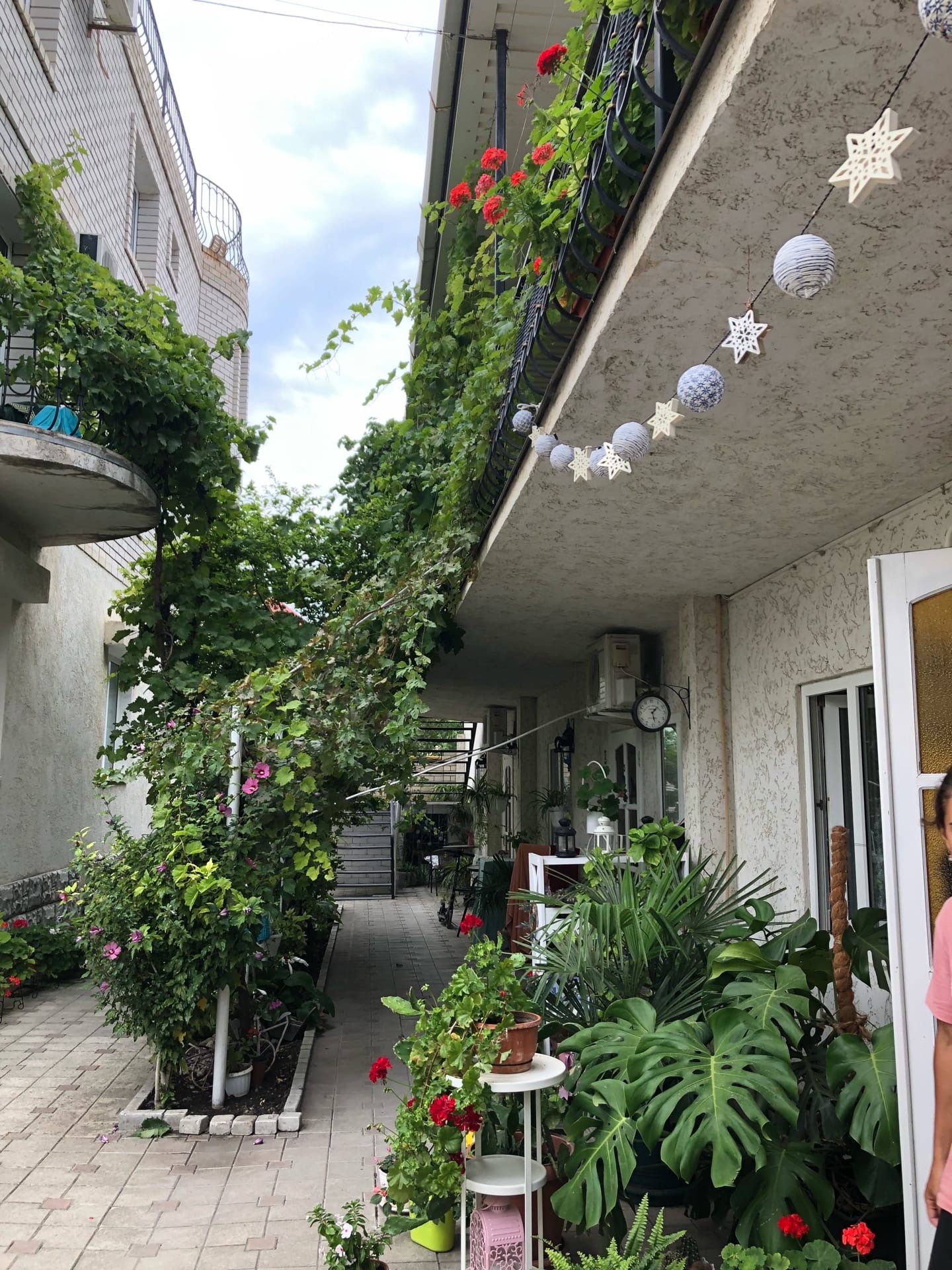 Фото Чемпион