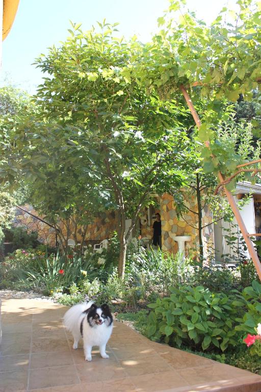 Фото Буржуазия