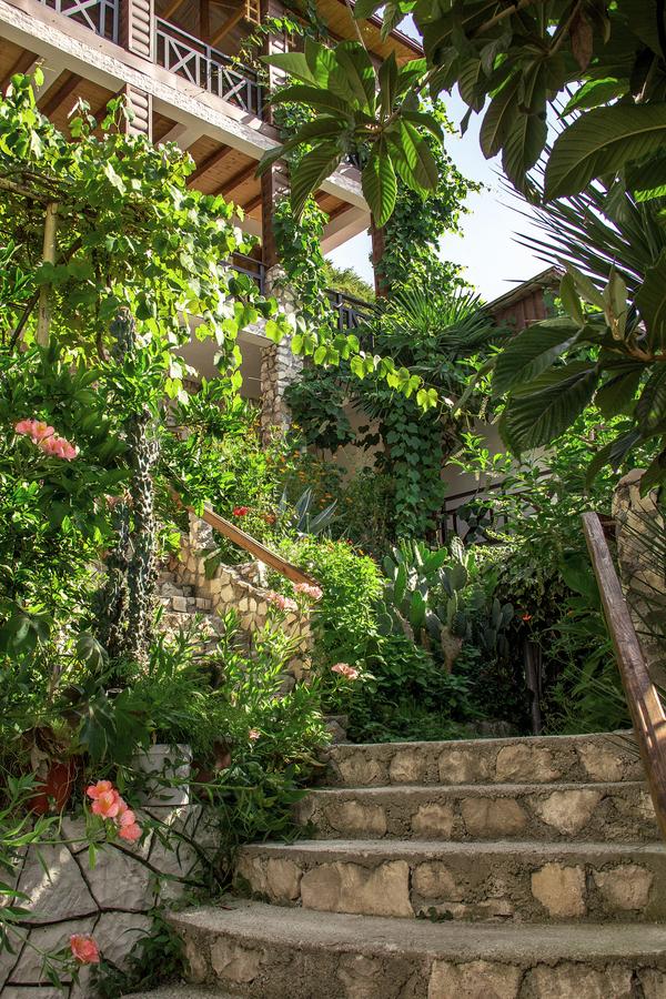 Фото Эль Платано