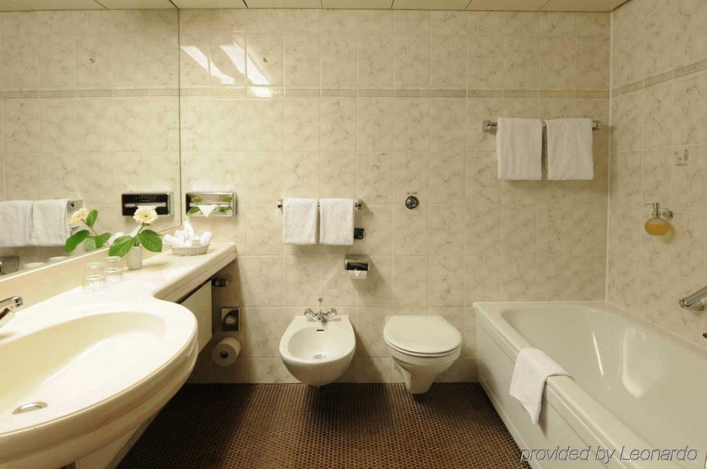 Фото Maritim Hotel Königswinter