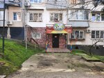 ChuDoDar (ulitsa Makarenko, 15), children's developmental center