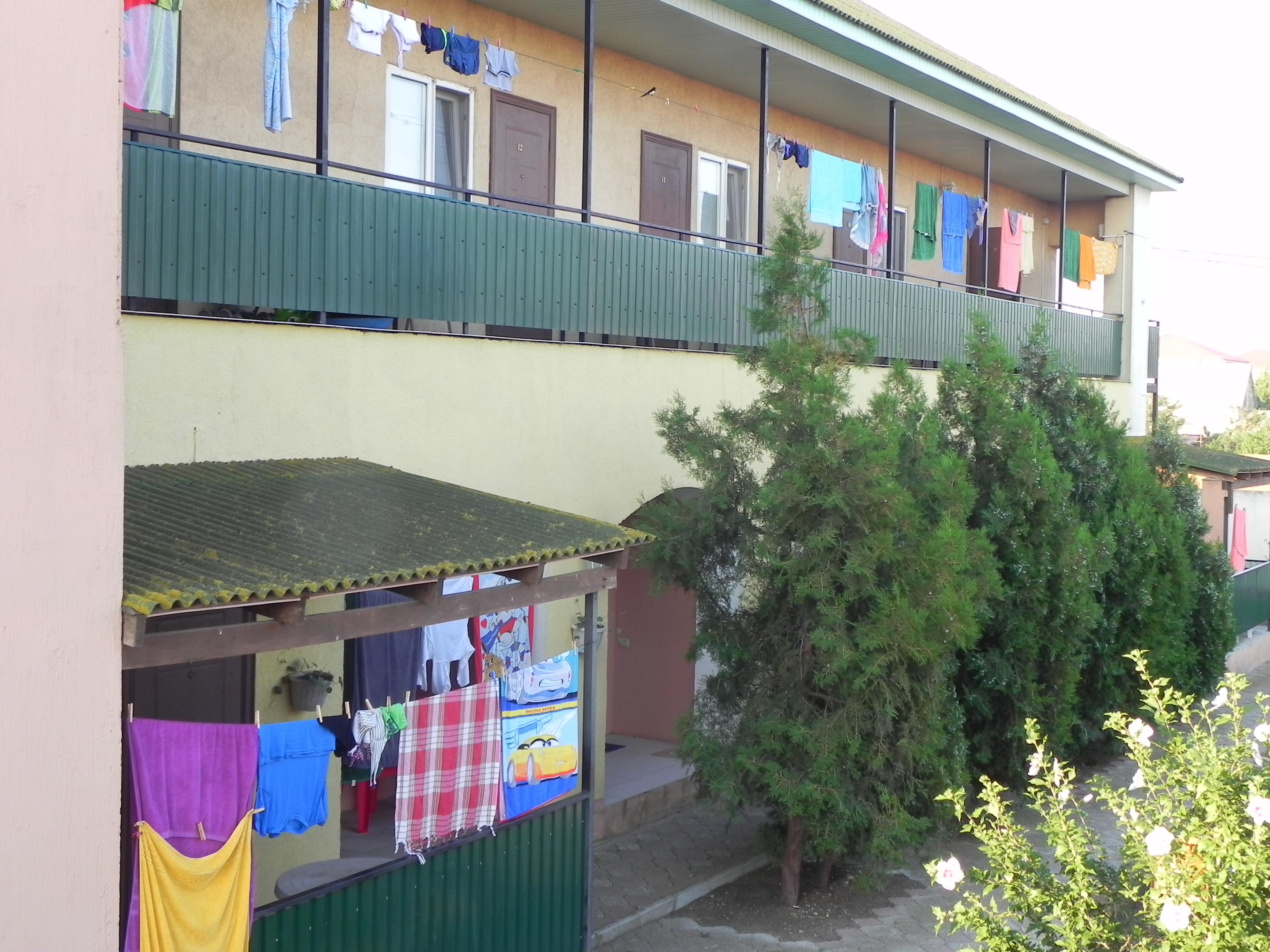 Фото Фанни Вероника