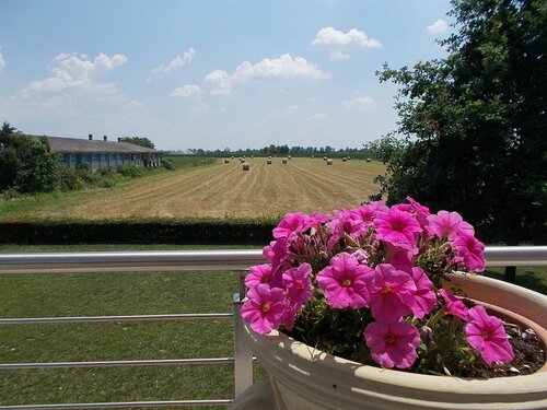 Гостиница B&b Casazze Dream