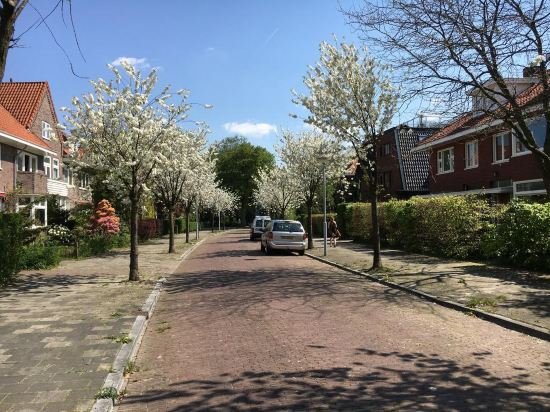 Фото Bed & Office 050