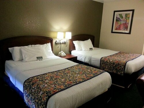 Гостиница Motel 6 Tampa в Тампе