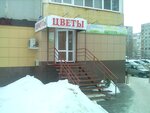 Подсолнух (ulitsa Kibalchicha, 1), flower shop