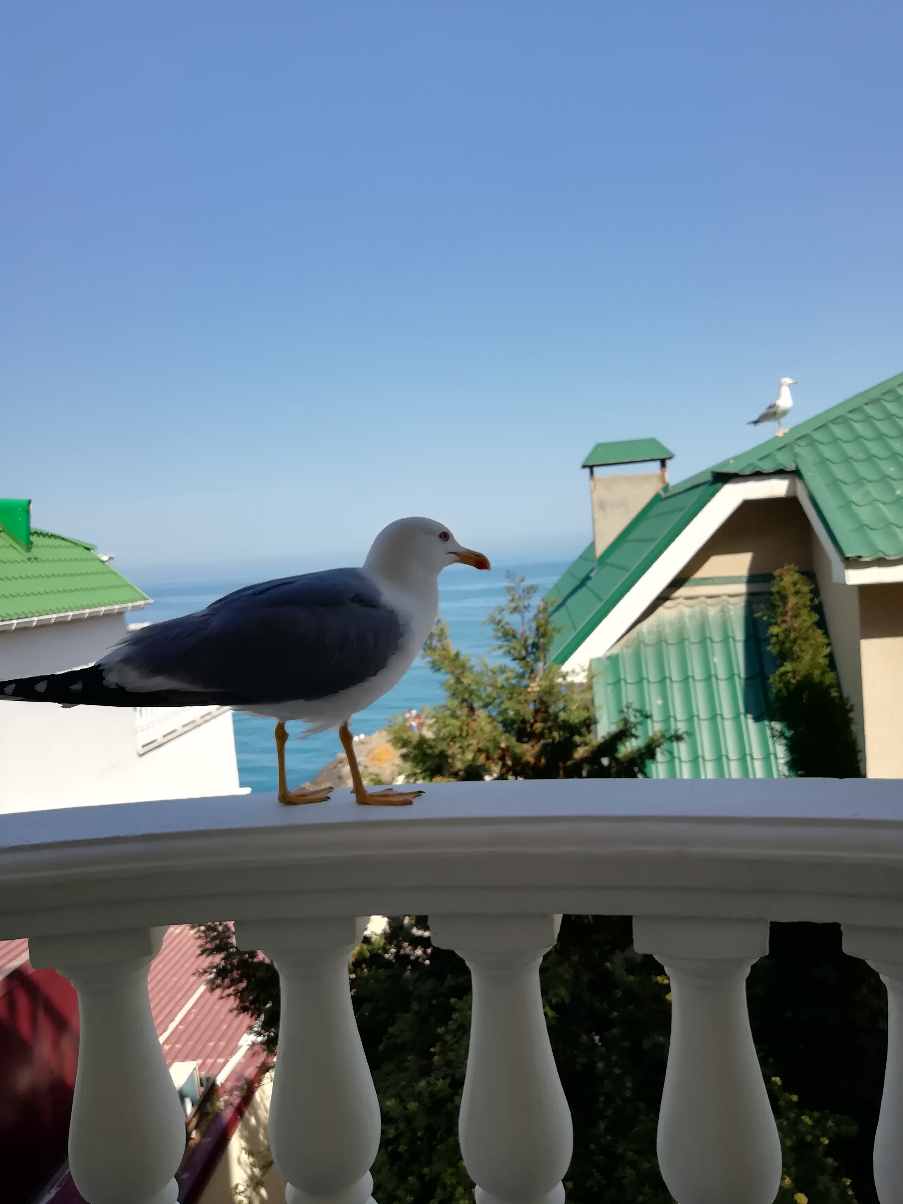 Фото Лагуна