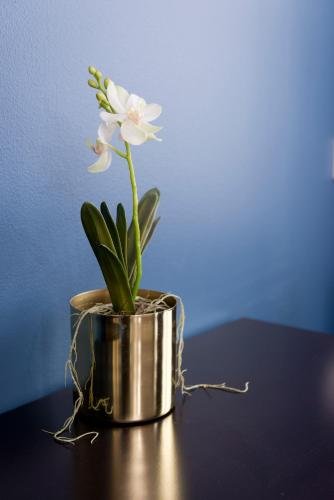 Фото Stockholm Hotel Apartments Bromma