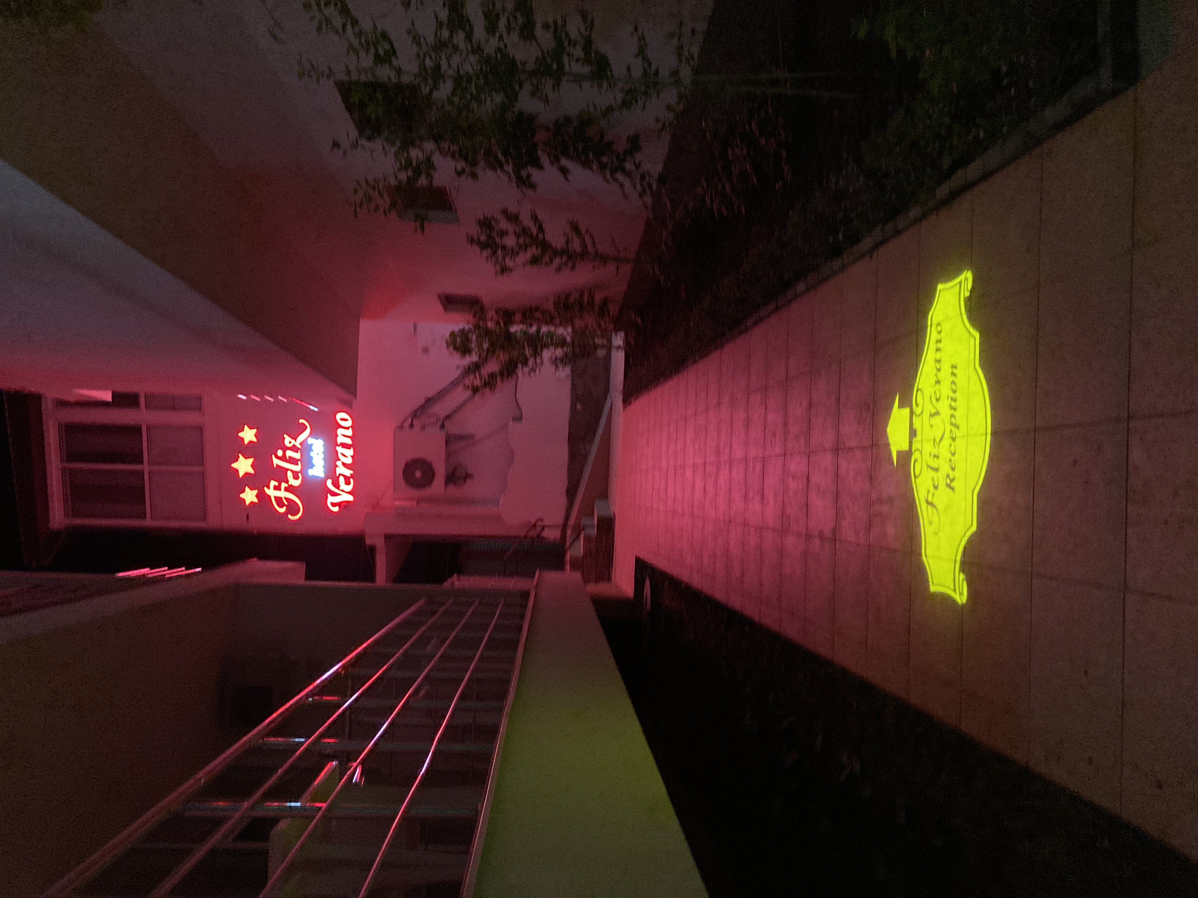 Фото Feliz Verano