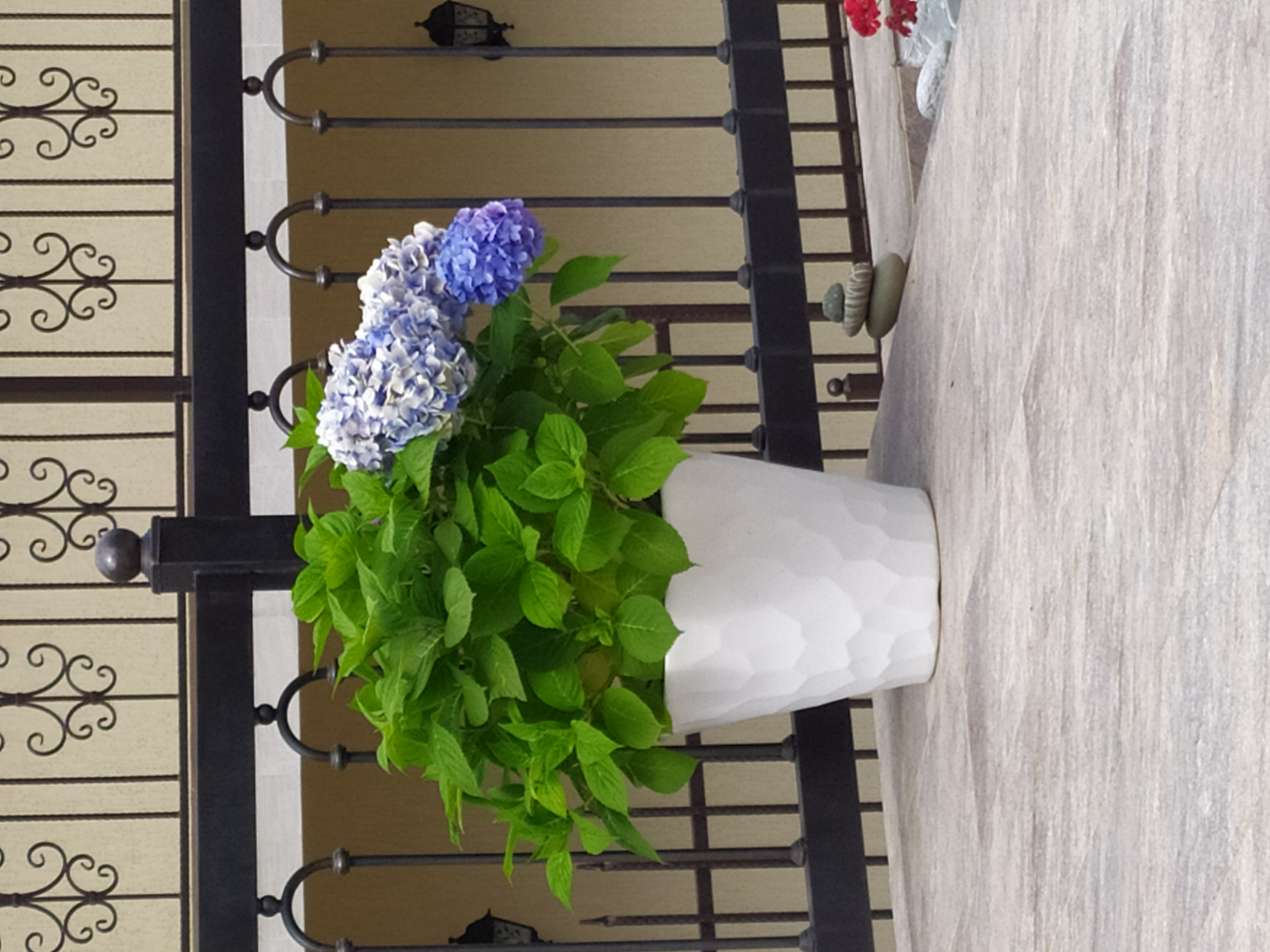 Фото Лооfкий