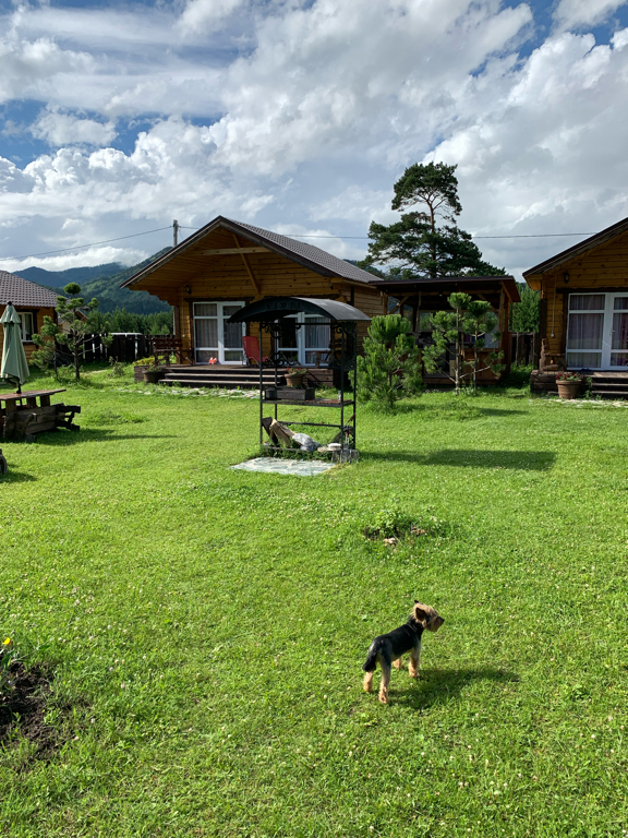 Фото Баюта Алтай