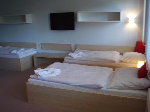 Фото Horský Hotel Brans