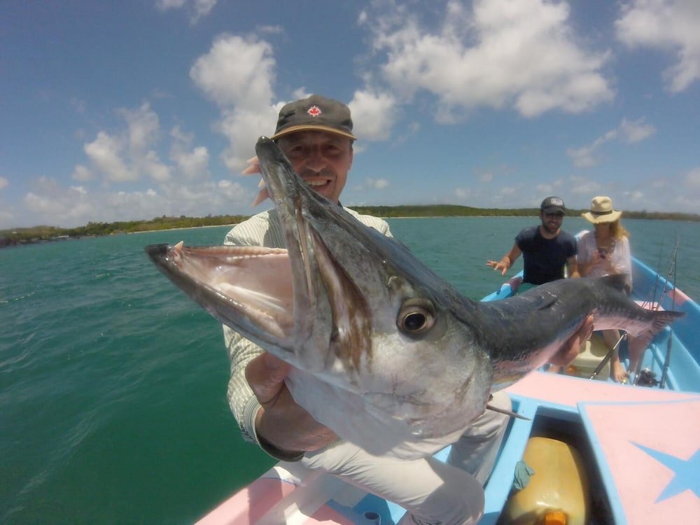Фото Angel Fish Cove