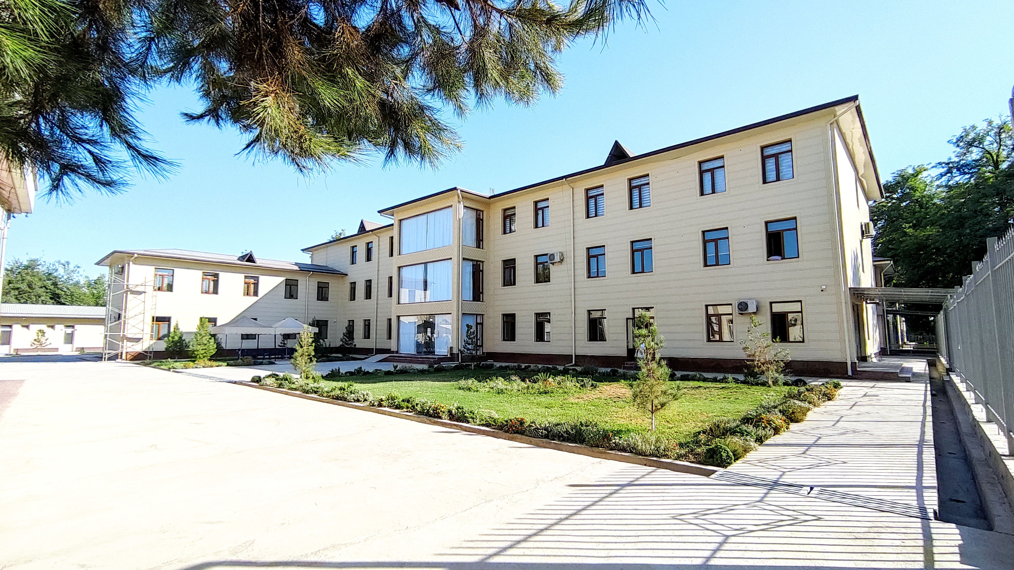 Paypoq fotosuratlar katta eshak bilan porno