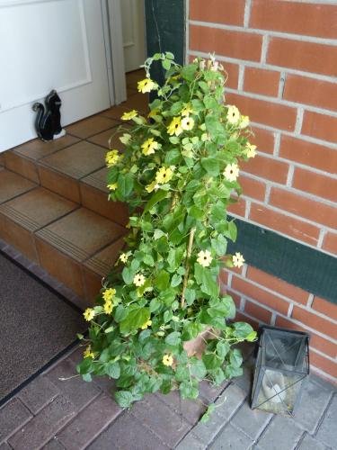 Фото Am Hehlentor