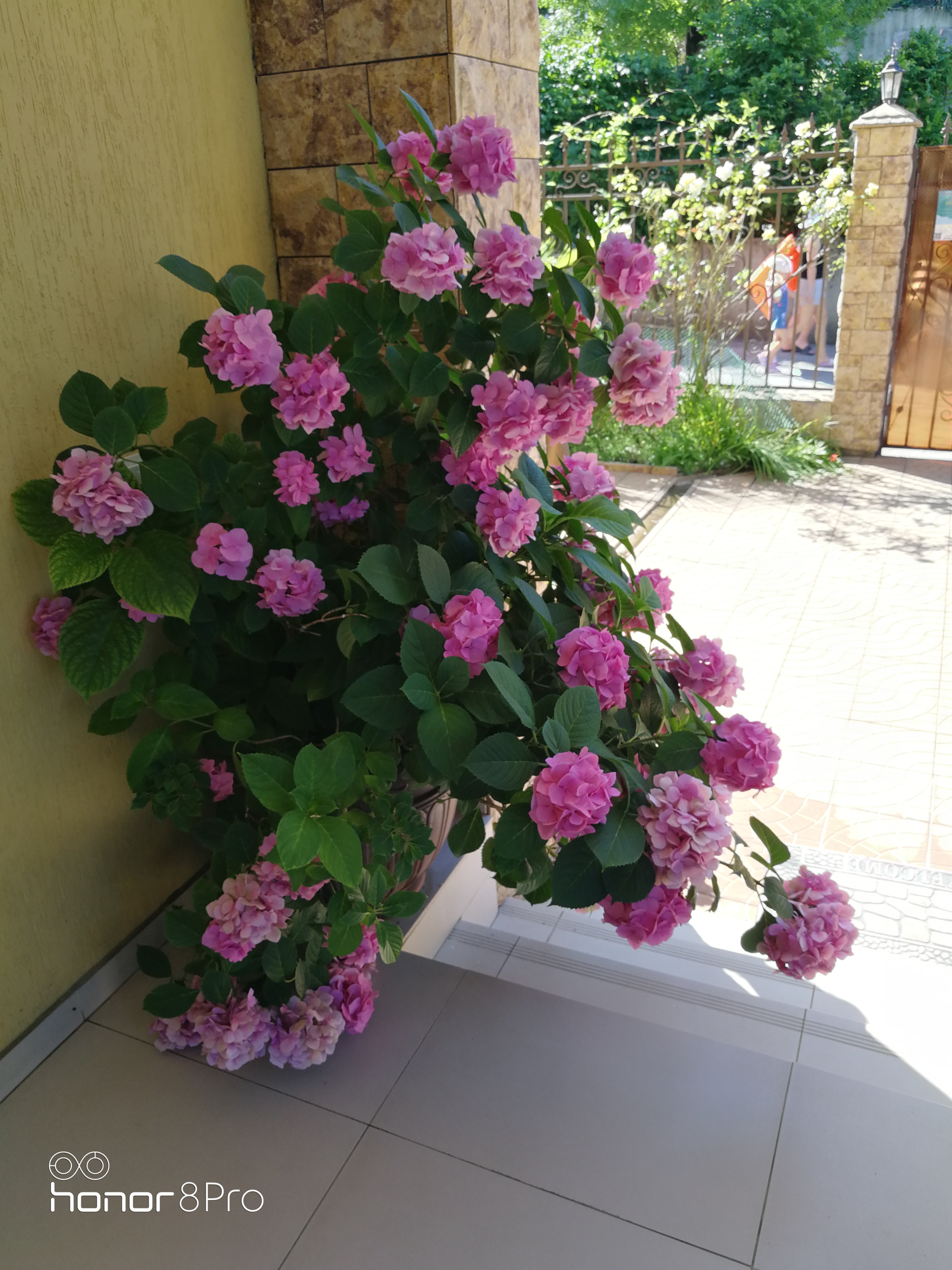 Фото Сан-Мари