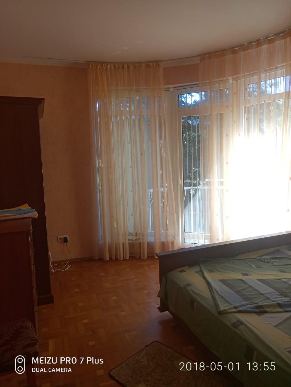 Фото Сосна и Пальмы