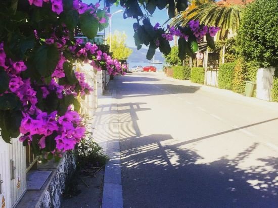 Фото Hotel Splendido Bay