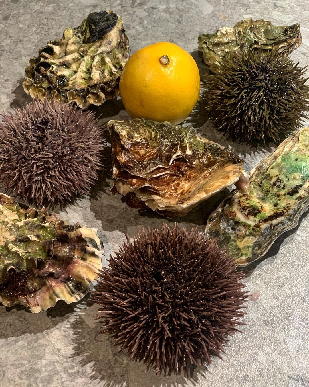 Фото Хартман