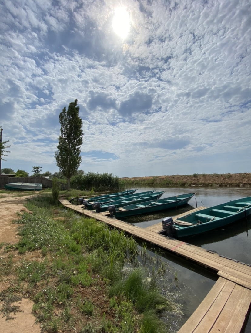 Фото Тортуга