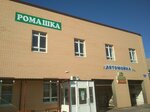Romashka (Kurchatova Avenue, 1Е), lavado de coches