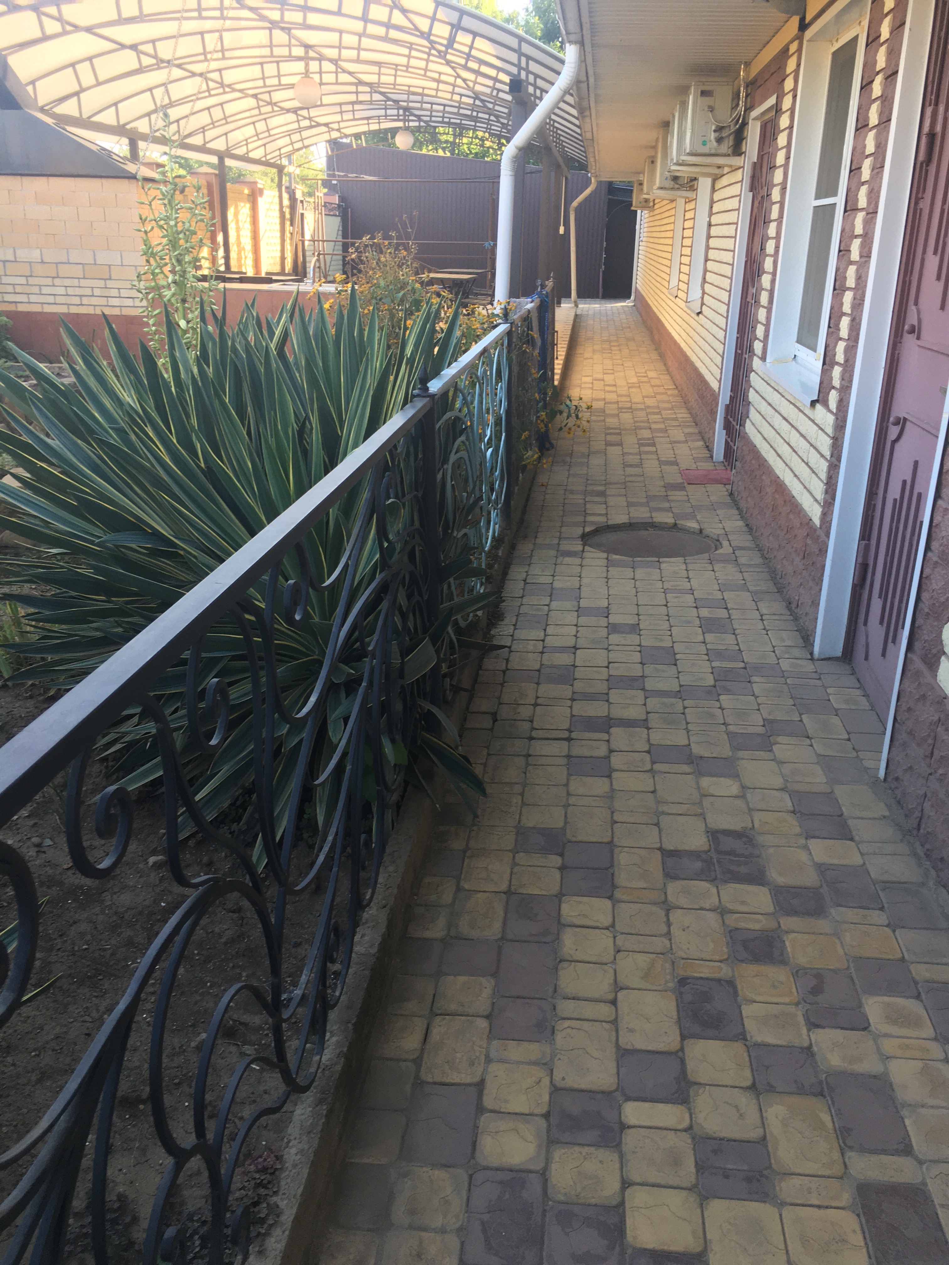 Фото Ивушка