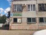 Alfa (ulitsa Sergeya Lazo, 11/1) ، سلطة إسكان بلدية
