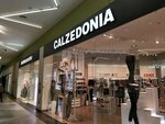 Calzedonia (Pobedy Street, 41), stockings and tights shop