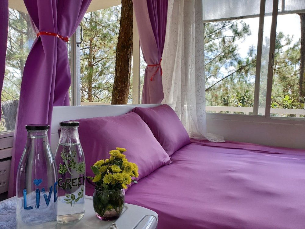 Фото Pine Hill Homes Dalat