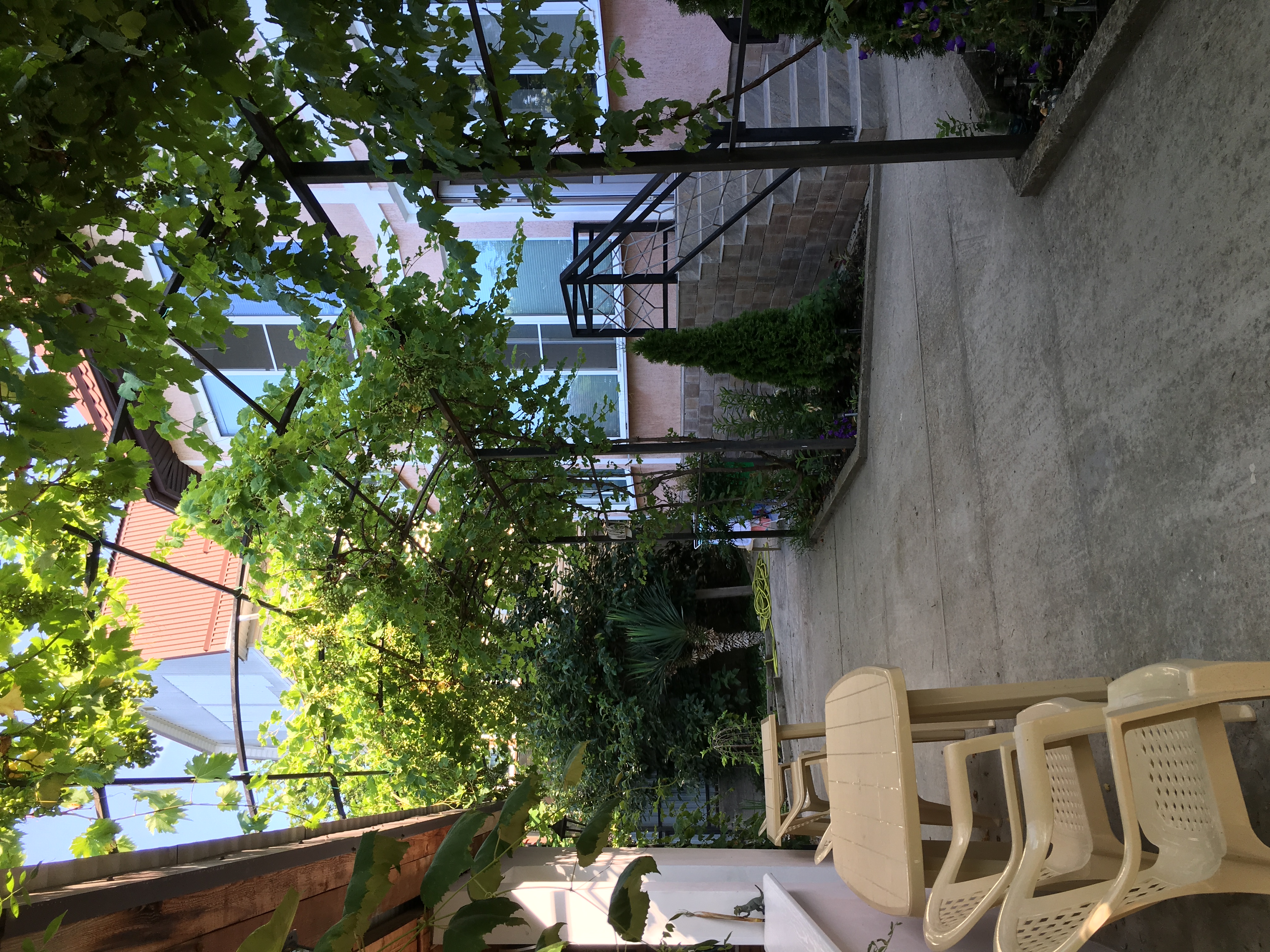 Фото Вид на море