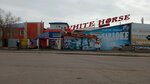 White Horse (Korabelnaya ulitsa, 32Б), karaoke