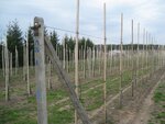 Beltros (ulitsa Chkalova, 26), ropes, cables, cords