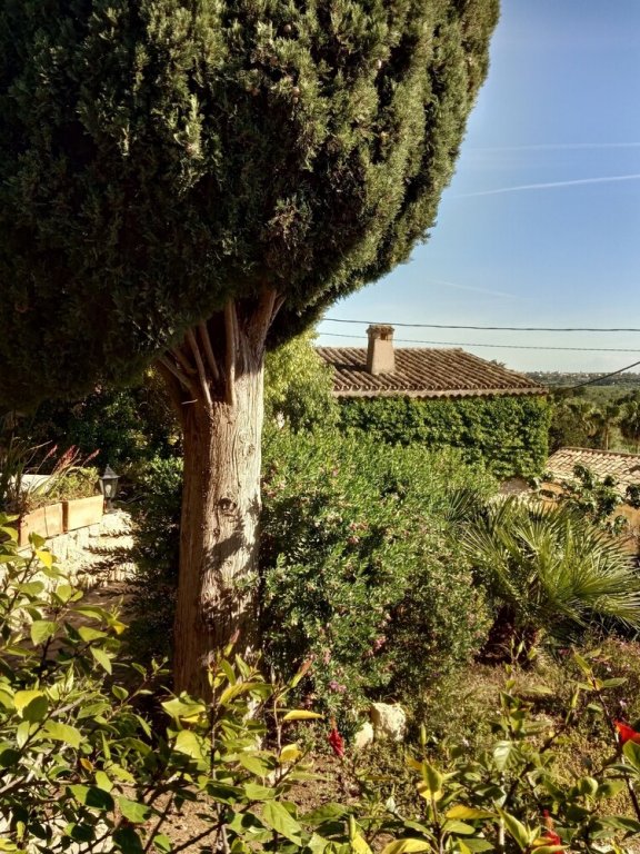 Фото Asis de Marratxinet