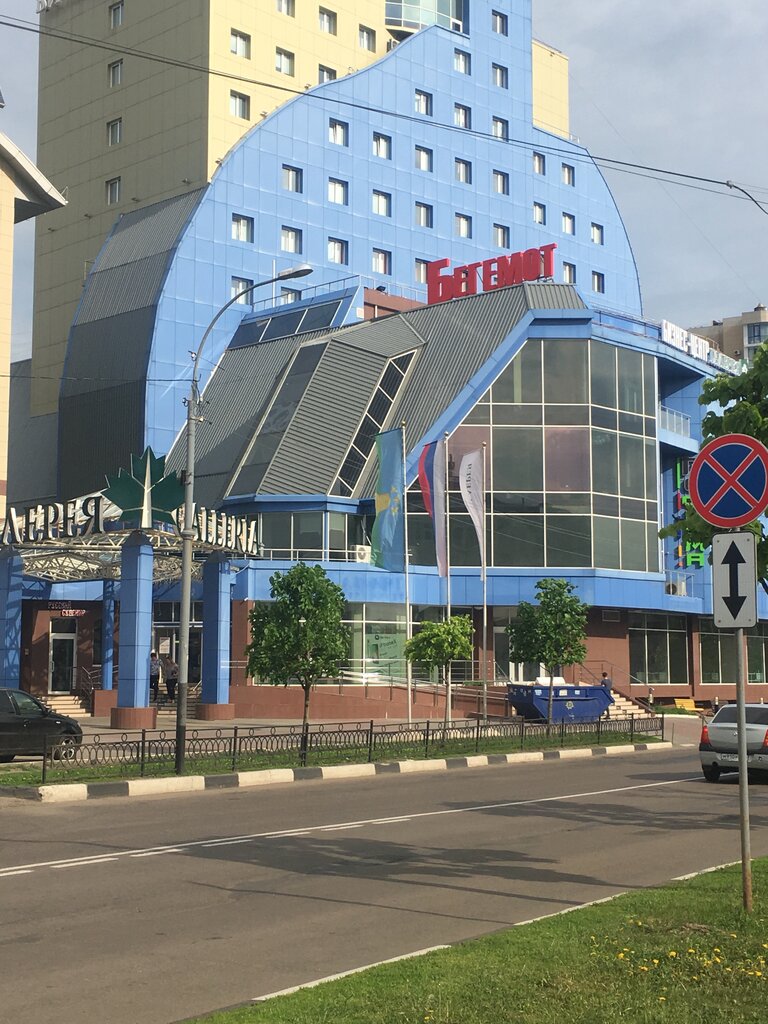 Супермаркет Бегемот, Тамбов, фото