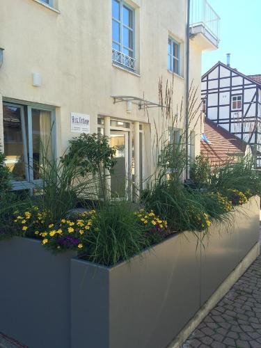 Фото Harz Cottage