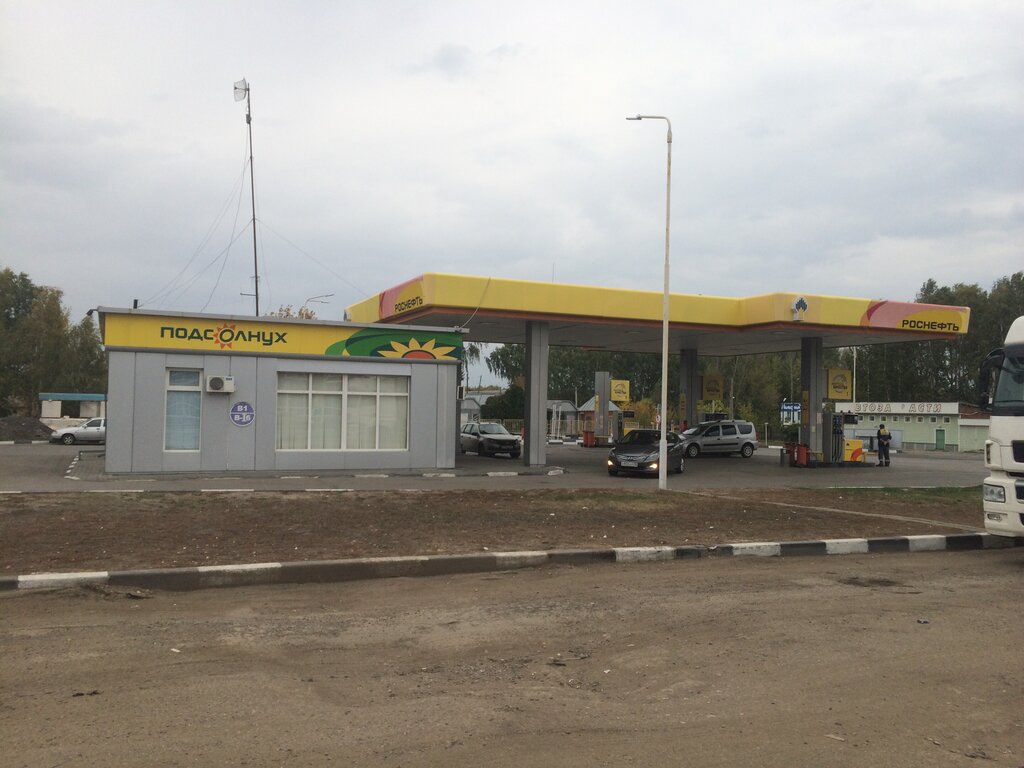 Gas station Rosneft', Nizhny Lomov, photo