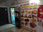 Золотой песок (ulitsa Aleksandra Pecherskogo, 5), grocery