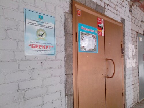 Дополнительное образование Центр внешкольный работы Беркут, Кострома, фото