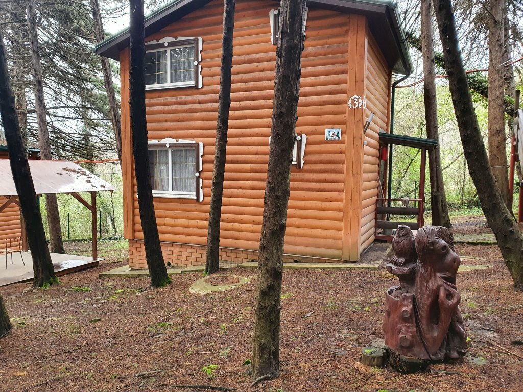 Hotel Nella Foresta Hotel, Sochi, photo