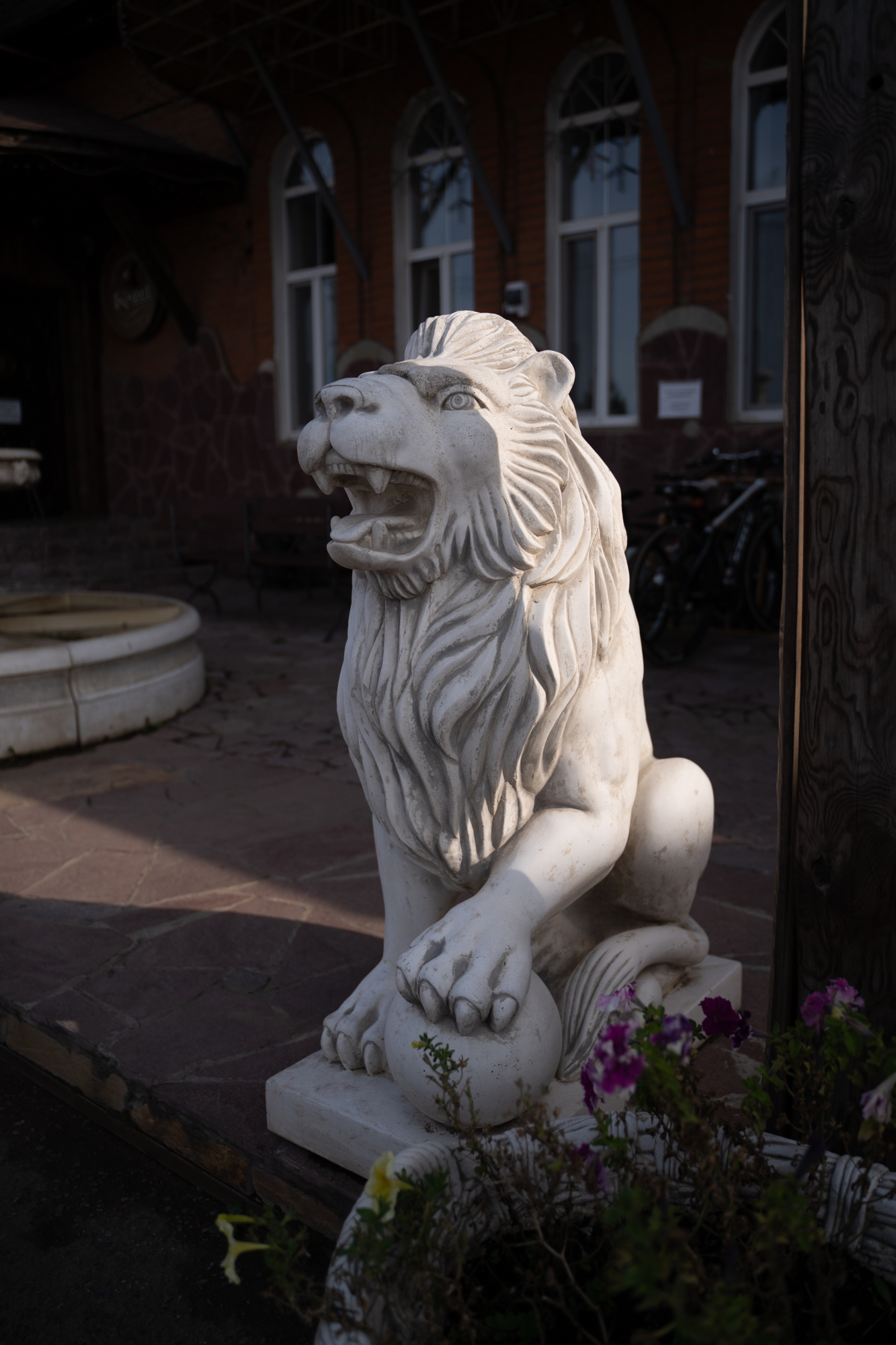 Фото Аристократ