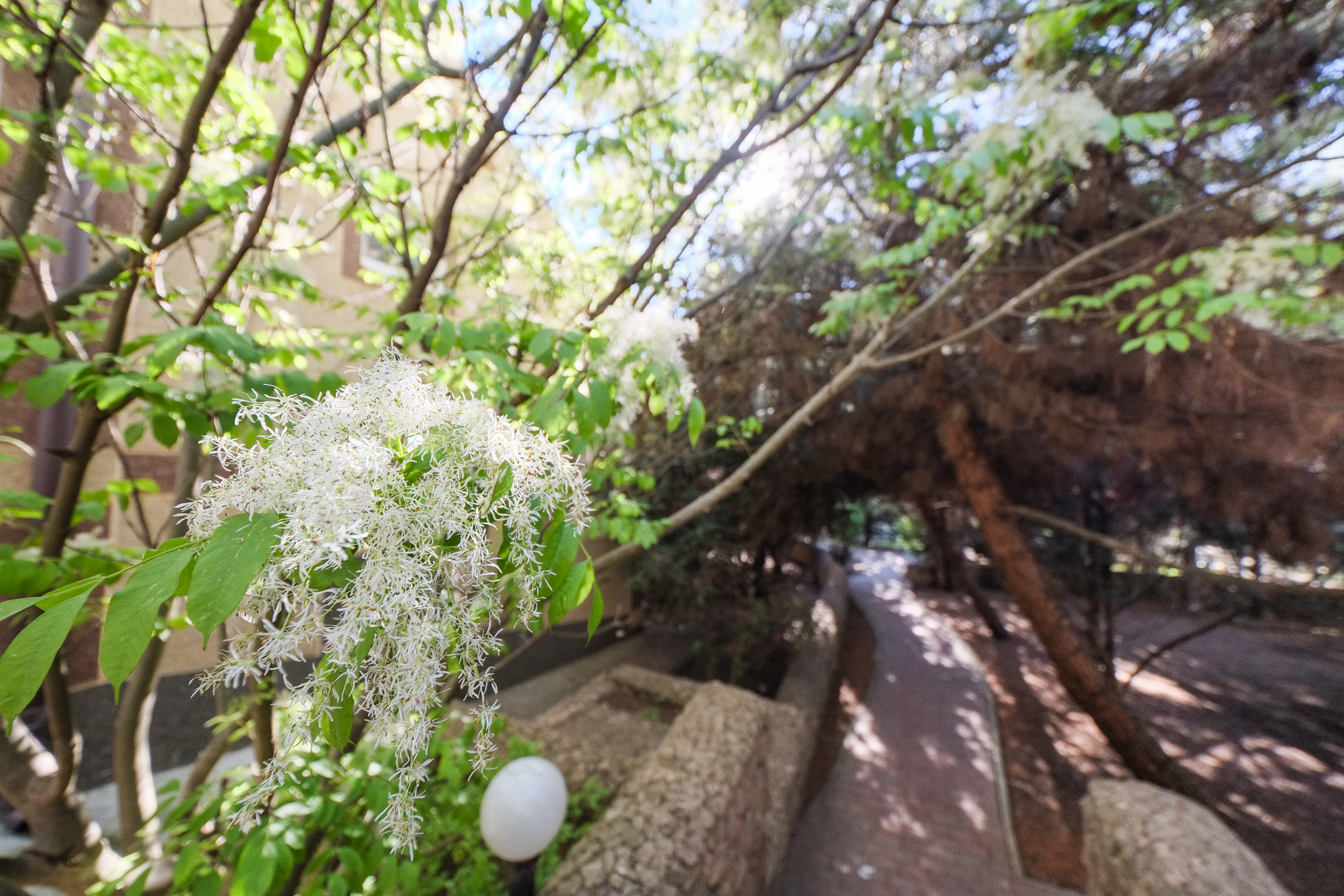 Фото Качинская