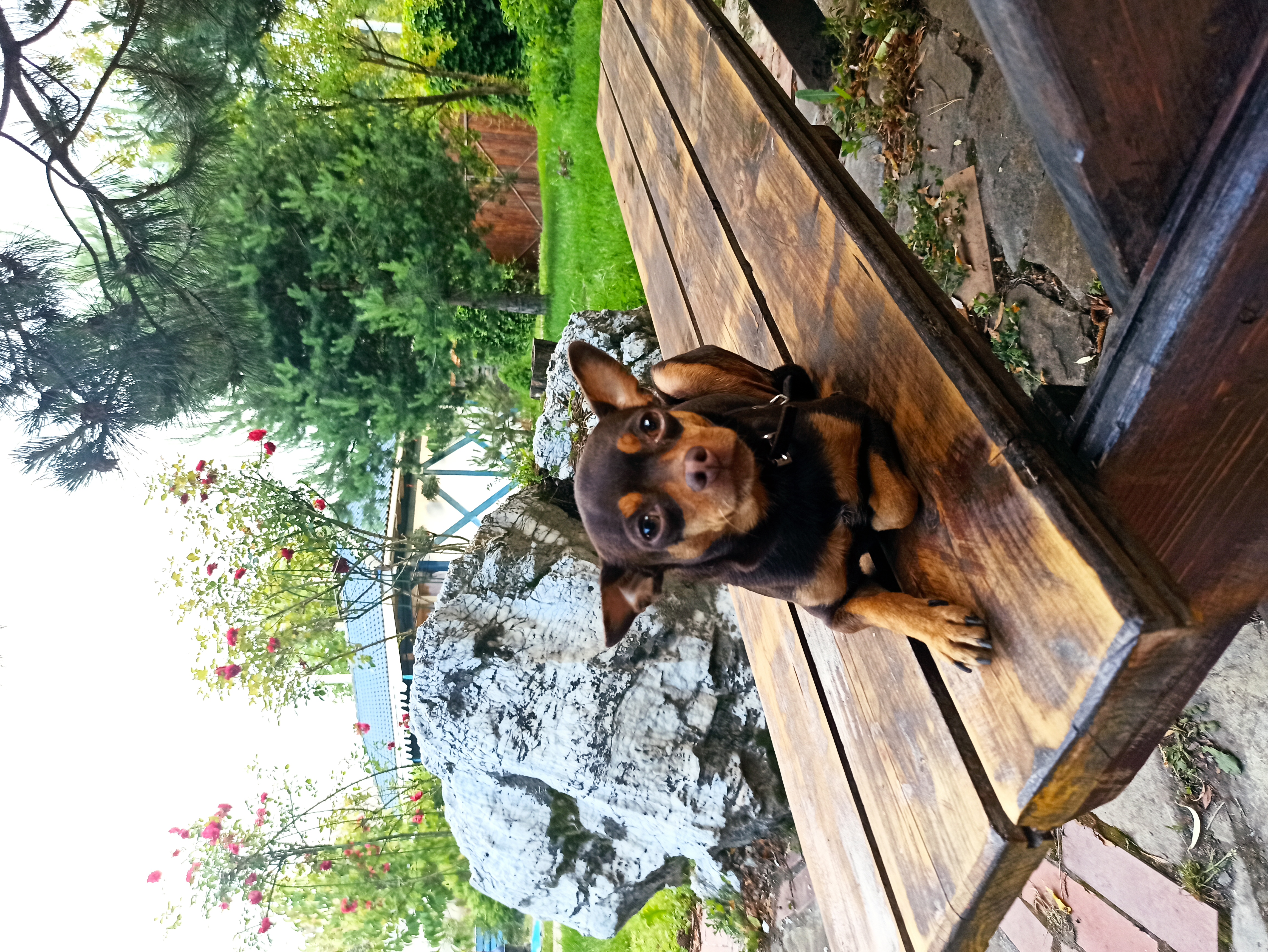 Фото Эколодж