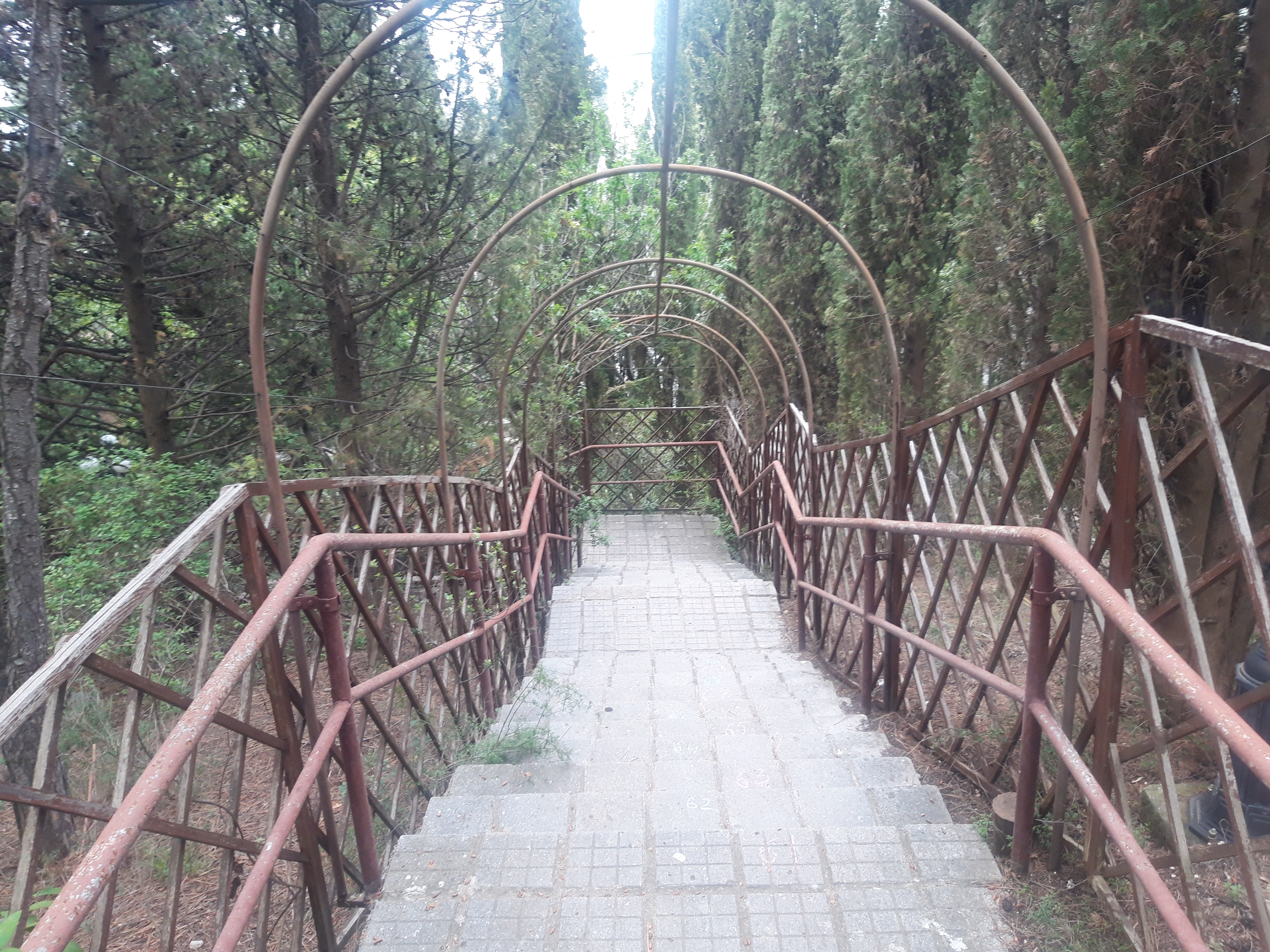 Фото Сказка