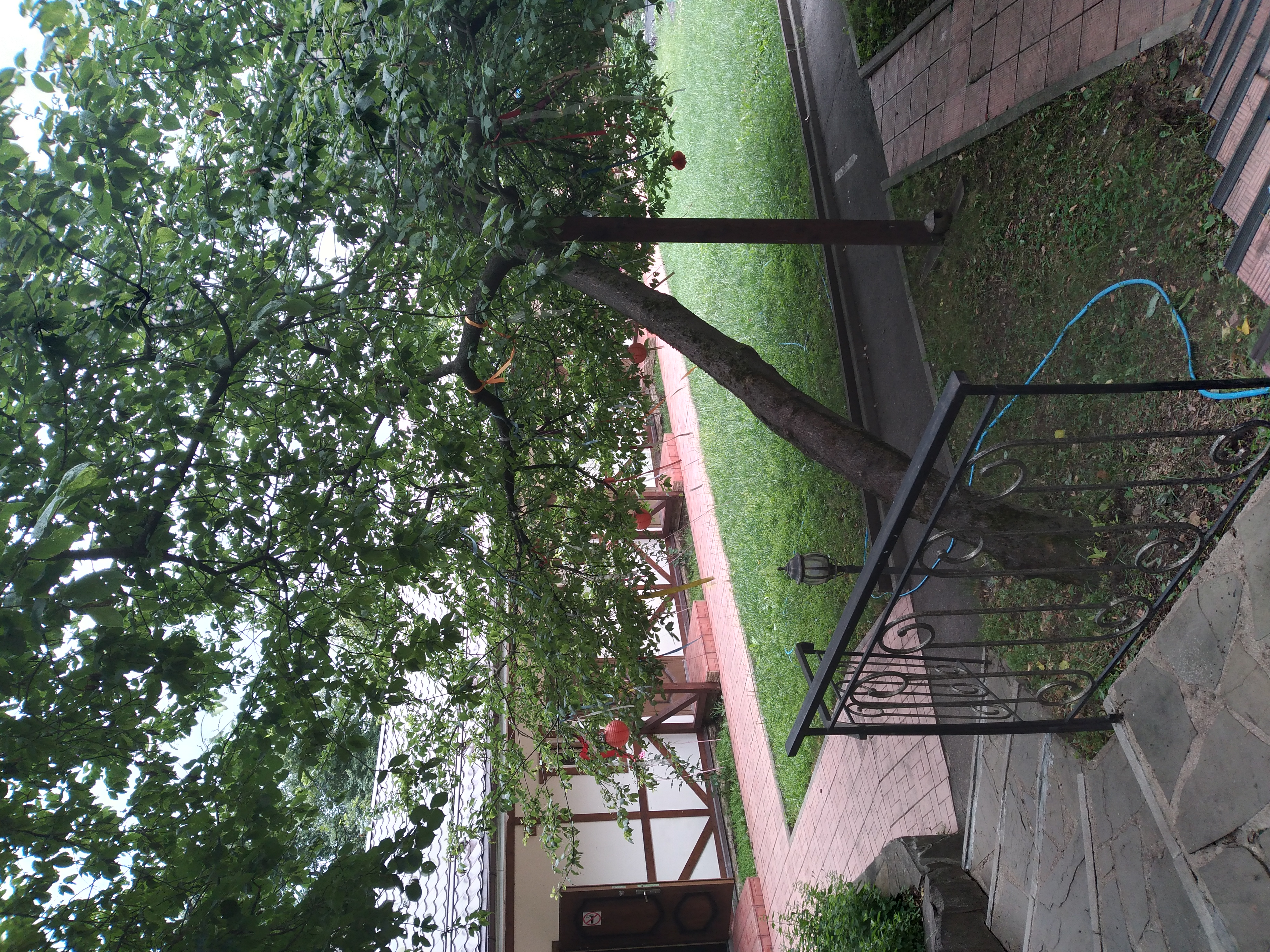 Фото Апартаменты E.V.A.