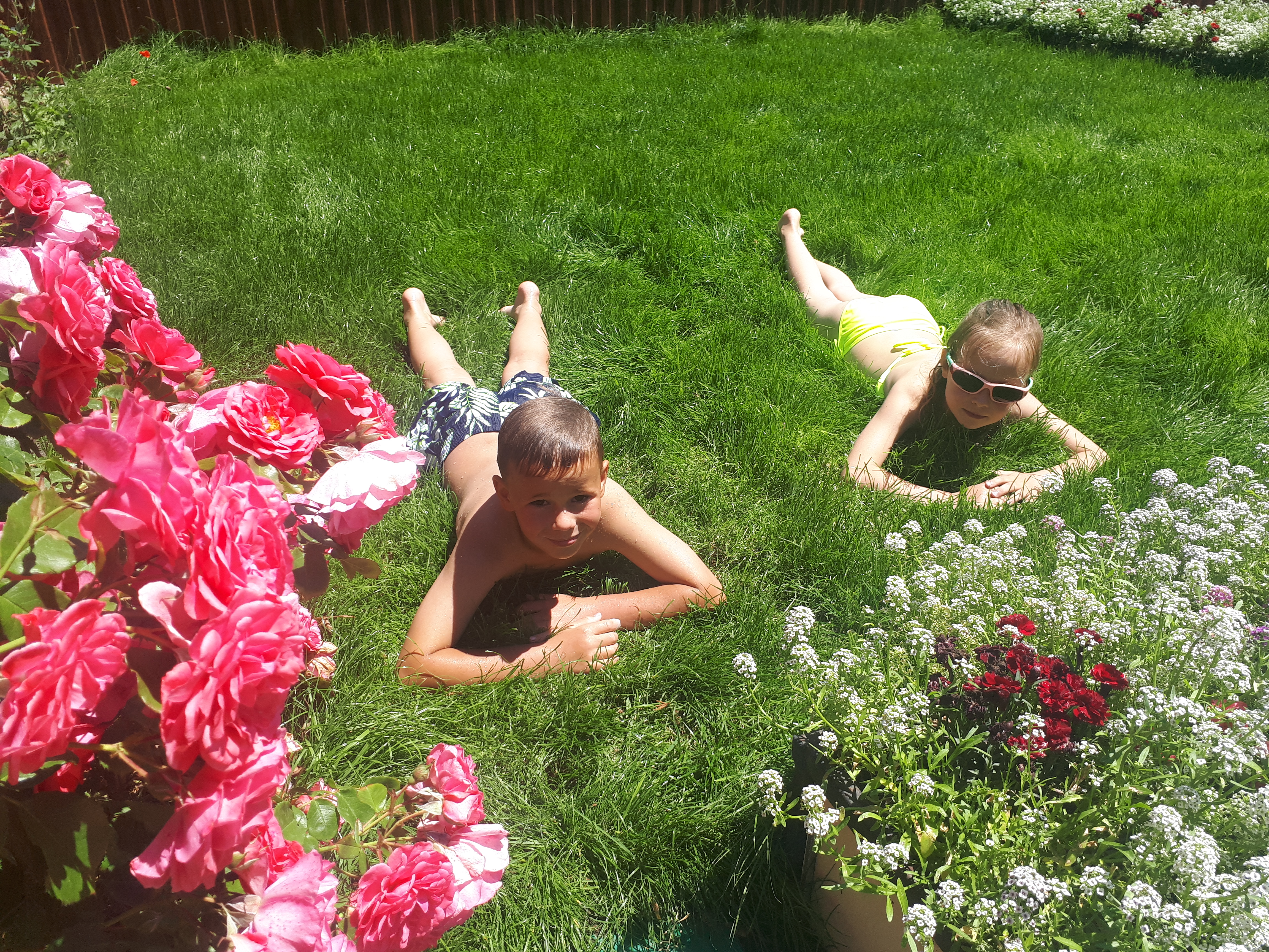 Фото Гостевой дом, Лира Хаус