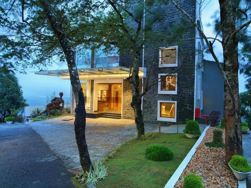 Фото Chandys Windy Woods