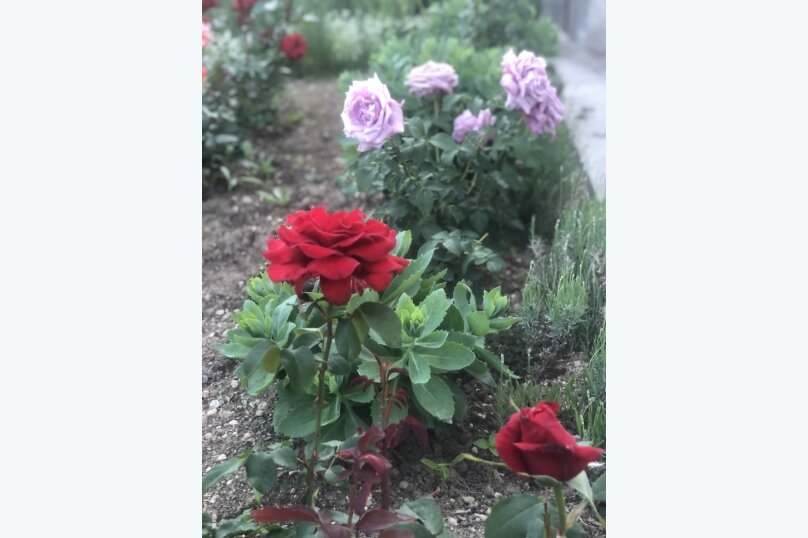 Фото Наш Дом