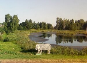 Гиппопотам (Могилёвский район, Дашковский сельсовет, агрогородок Межисетки, Шоссейная улица), достопримечательность в Могилёвской области